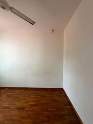 Opera Estate (D15), Terrace #563929031